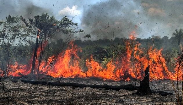 Queimadas em outubro já ultrapassam 2 mil registros no Amazonas