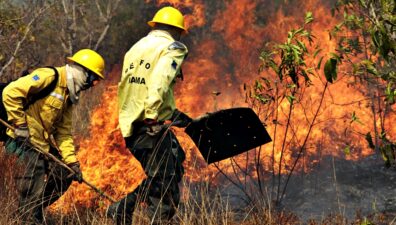 Ibama aumenta o número de brigadistas para combater incêndios no Amazonas