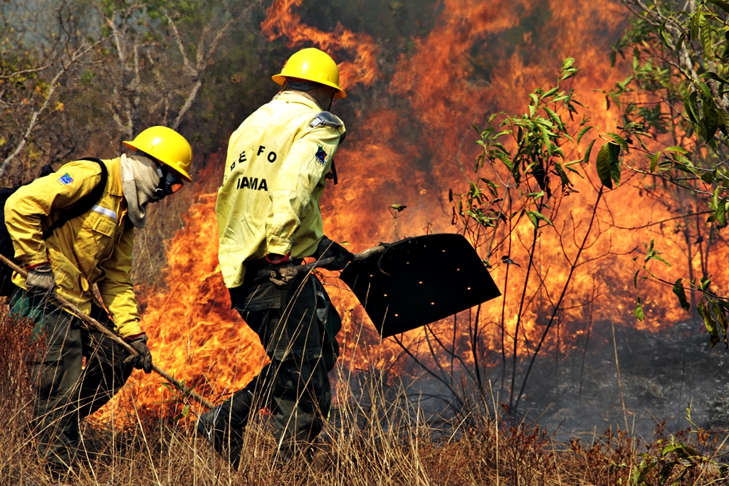 Ibama aumenta o número de brigadistas para combater incêndios no Amazonas