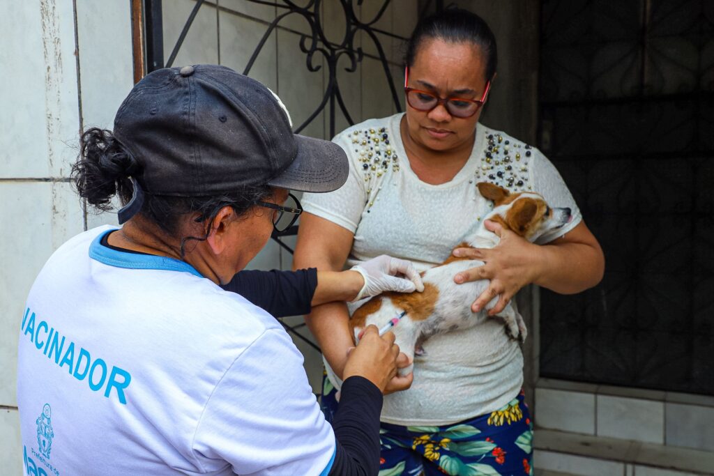 Campanha antirrábica imuniza cães e gatos em 16 bairros nesta semana