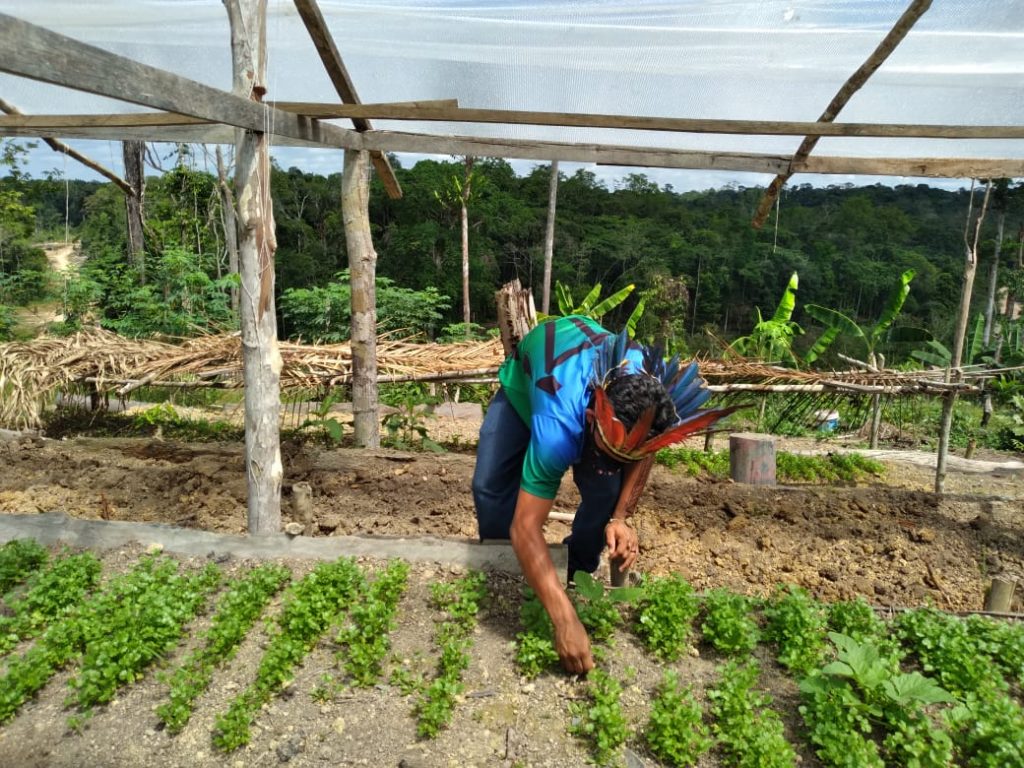 FEI convoca agricultores indígenas para fornecer alimentos às escolas do Amazonas