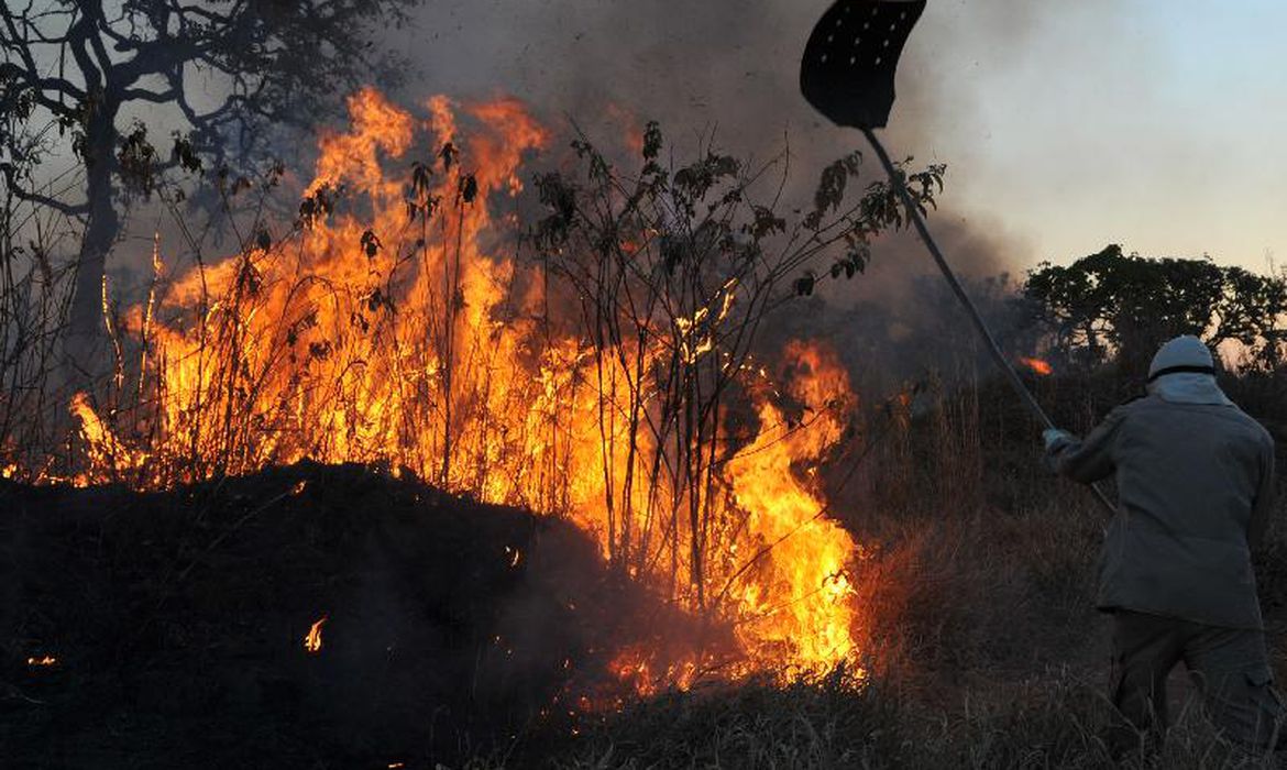 Homens são presos suspeitos de envolvimento em queimadas no Amazonas