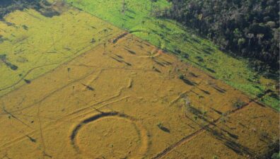 Amazônia pode ter mais de 10.000 registros de antigas comunidades indígenas