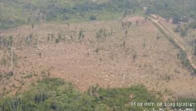 Políticos e fornecedores de grandes frigoríficos são invasores de terra indígena no Pará, diz MPF