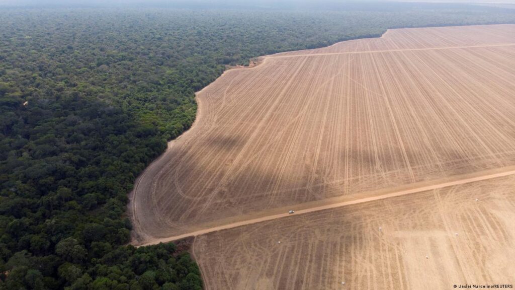Desmatamento para alimentação emitiu 32 bilhões de toneladas de CO2