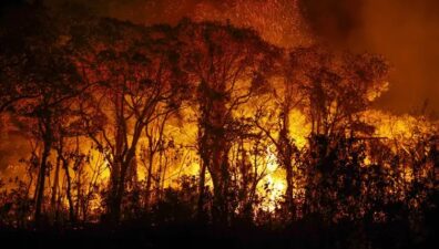 Brigadistas intensificam trabalho de combate a incêndios no Pantanal