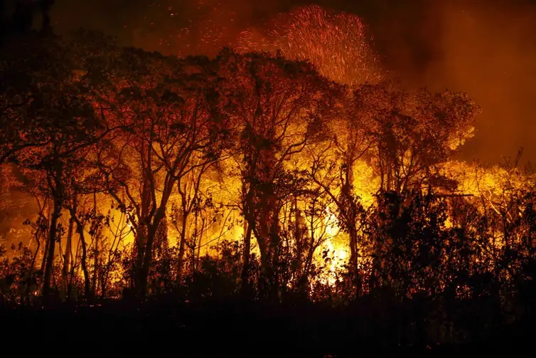 Brigadistas intensificam trabalho de combate a incêndios no Pantanal