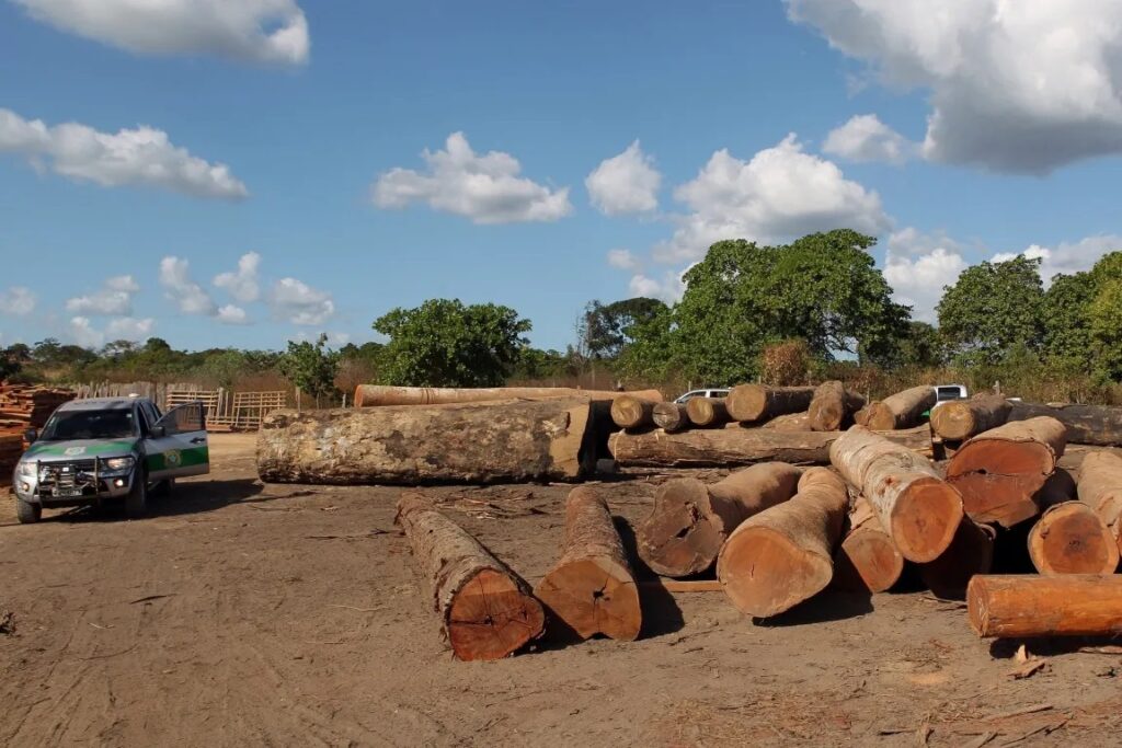 Ibama destrói madeireiras clandestinas em terras indígenas no Amazonas