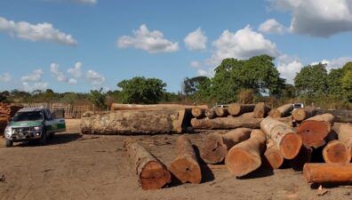 Ibama destrói madeireiras clandestinas em terras indígenas no Amazonas