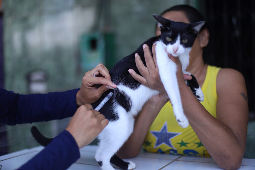 Vacinação antirrábica chega a 23 bairros nesta semana