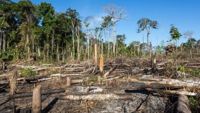 Estados já podem aderir ao programa de segurança da Amazônia