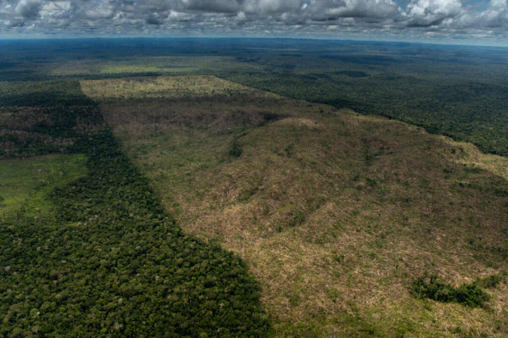 Reino Unido anuncia mais R$ 215 milhões para o Fundo Amazônia