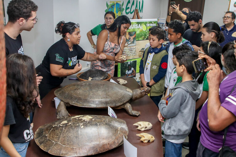 Dia da Tartaruga é comemorado com exposição em espaço educacional