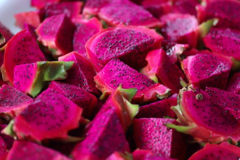Produtores rurais colhem uma tonelada de pitaya em 2024