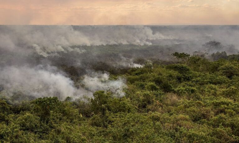 Pantanal poderá ter crise hídrica histórica em 2024