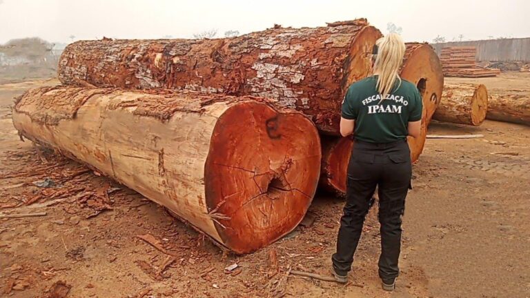 Operação Tamoiotatá: Ipaam aplica mais de 100 milhões em multas, em 140 dias de operação no sul do Amazonas