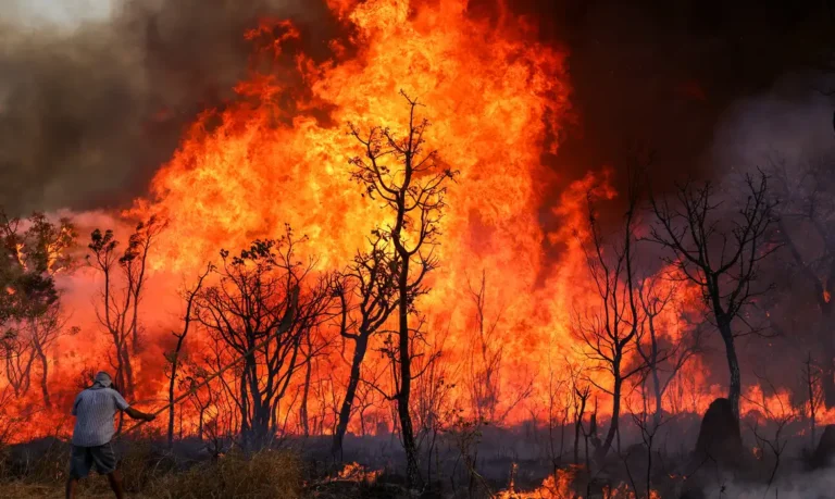 Incêndio de grandes proporções atinge Parque Nacional de Brasília