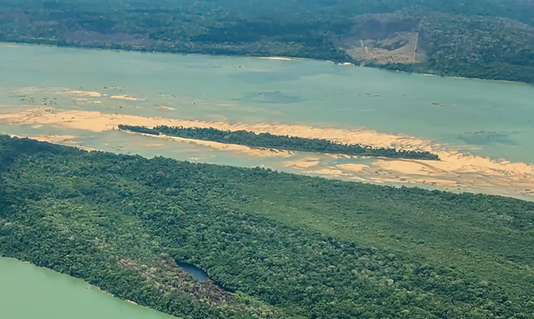 Operação busca retirar invasores de Terra Indígena Munduruku, no Pará