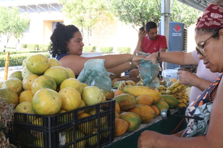 Última edição especial do ano da Feira de Produtos Regionais acontece nesta quarta-feira