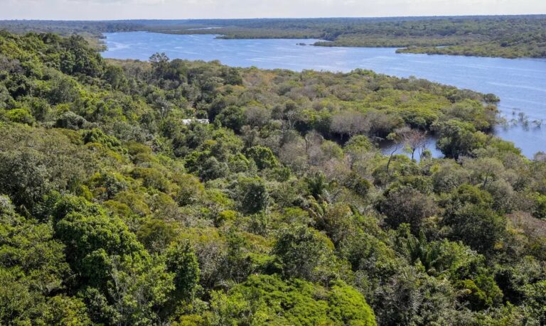 Dino dá prazo de 60 dias para Amazônia e Pantanal aderirem ao Sinaflor