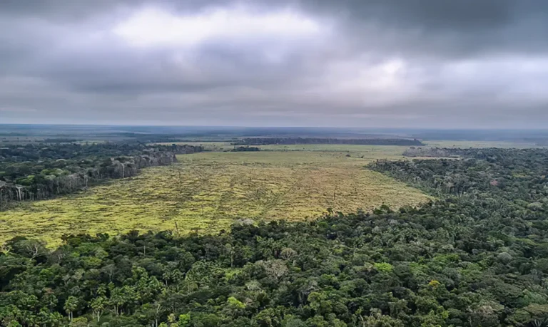 Irlanda anuncia contribuição de R$ 91 milhões ao Fundo Amazônia