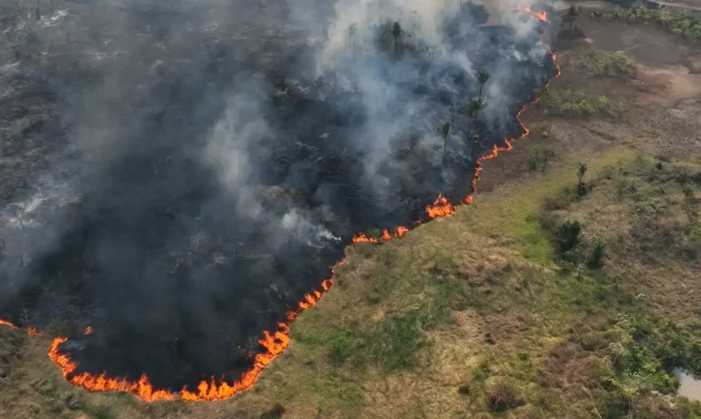 Caminhos da Reportagem aborda emergência climática