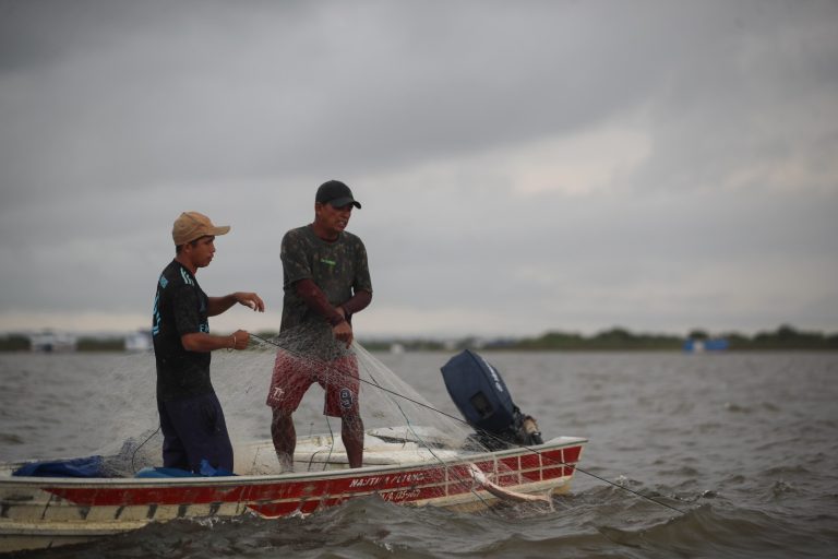 Fim do Defeso: Pesca de oito espécies de peixes é liberada no Amazonas