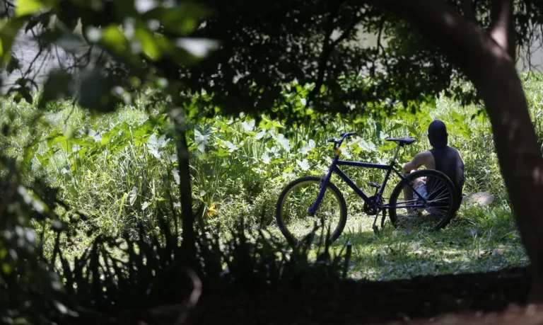 Outono começa com previsão de temperaturas acima da média