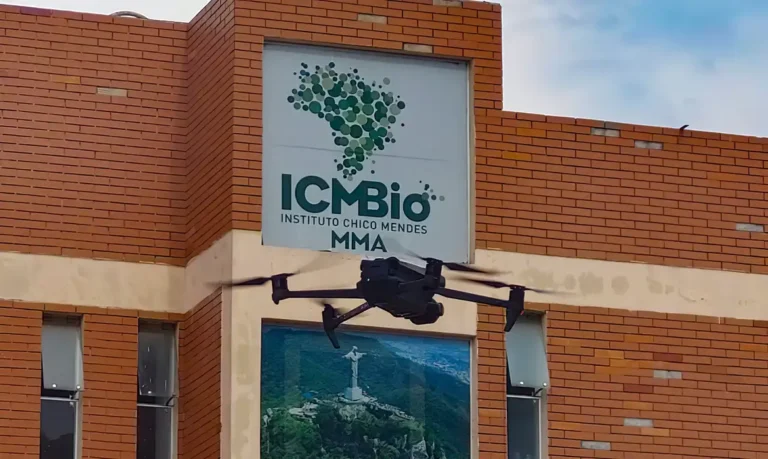ICMBio faz processo seletivo para contratar brigadistas florestais