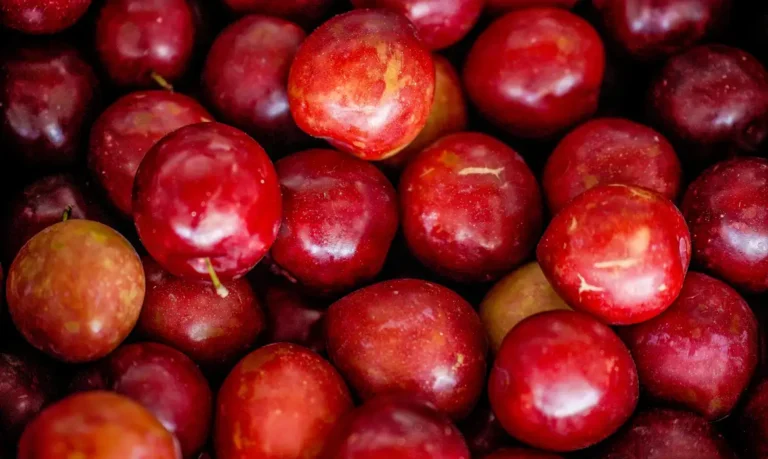 Belém tem menor índice de consumo diário de frutas do país